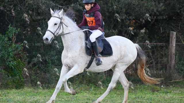 TREC01-06082024-03