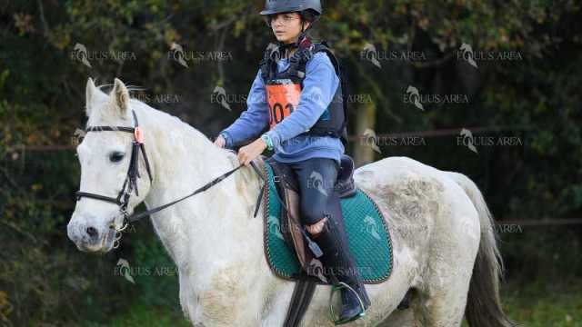 TREC01-06082024-06