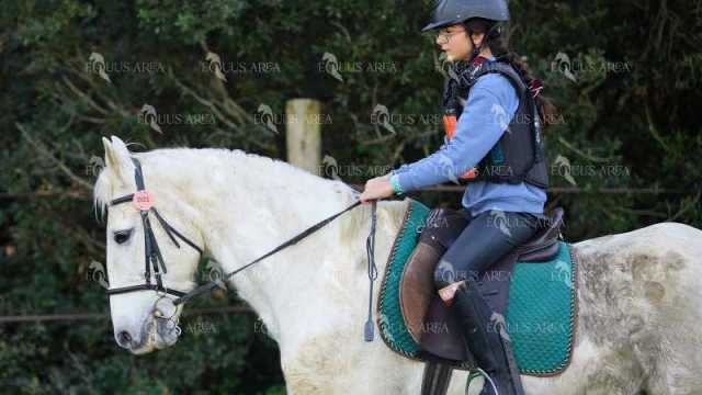 TREC01-06082024-07