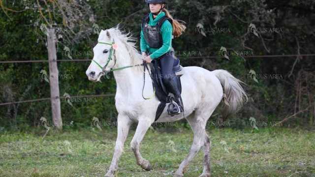 TREC01-06082024-08