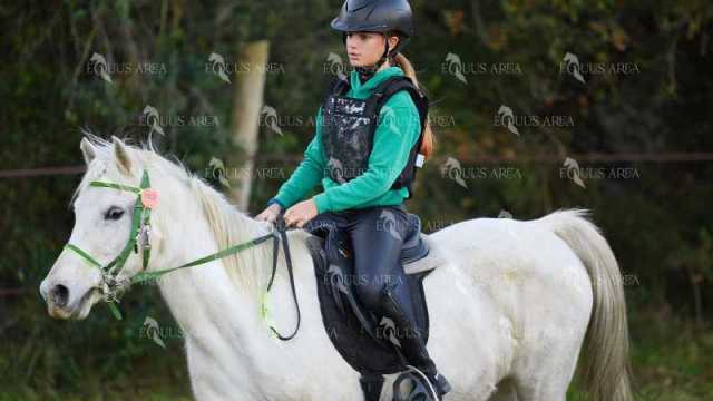 TREC01-06082024-09