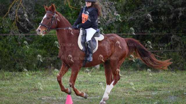 TREC01-06082024-10