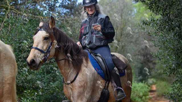 TREC01-06082024-102