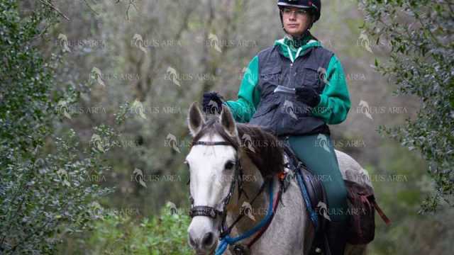 TREC01-06082024-104