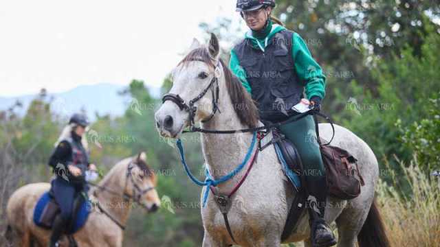 TREC01-06082024-105