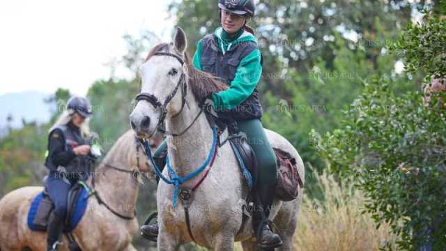 TREC01-06082024-106