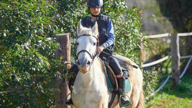 TREC01-06082024-108