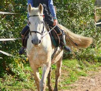 TREC01-06082024-109