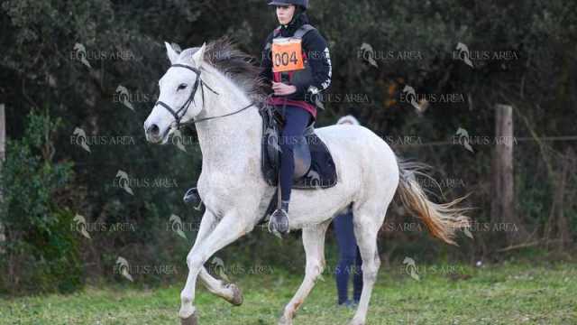 TREC01-06082024-11