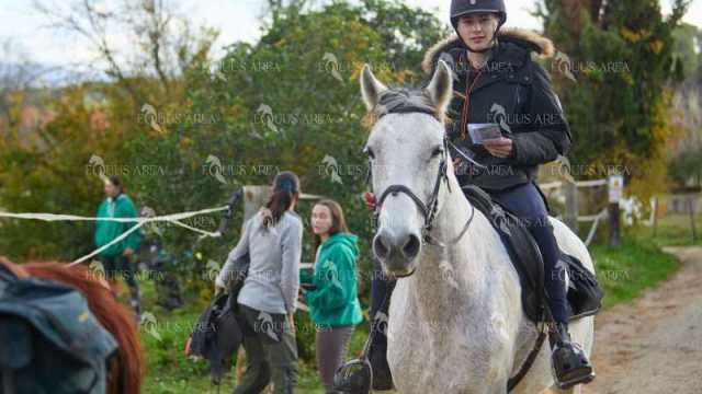 TREC01-06082024-111