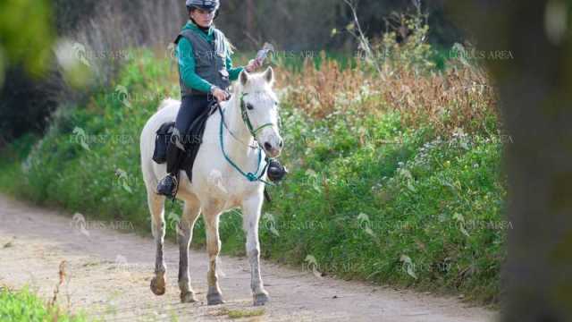 TREC01-06082024-112