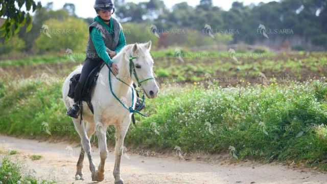 TREC01-06082024-113