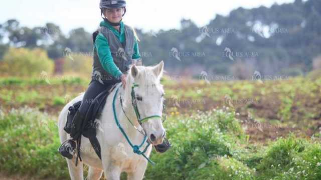 TREC01-06082024-114