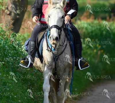 TREC01-06082024-115