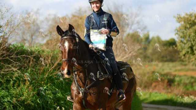 TREC01-06082024-116