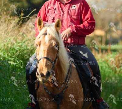 TREC01-06082024-117