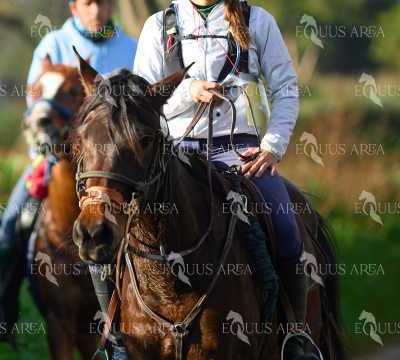 TREC01-06082024-118