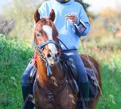 TREC01-06082024-119