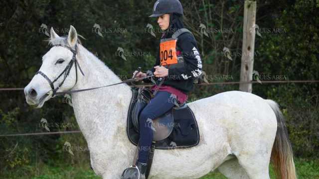 TREC01-06082024-12