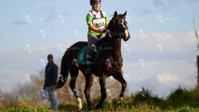 TREC01-06082024-120