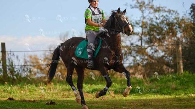 TREC01-06082024-121