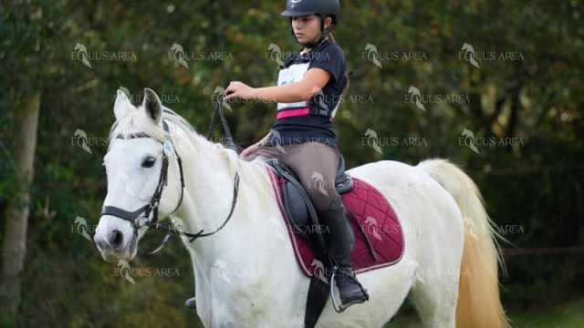TREC01-06082024-123