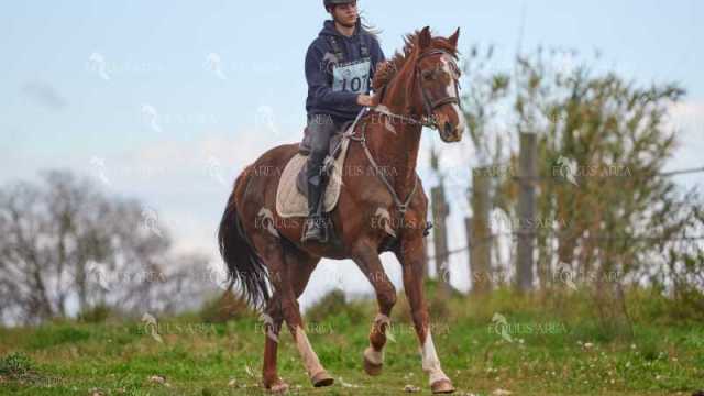 TREC01-06082024-124