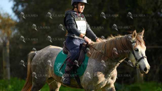TREC01-06082024-125