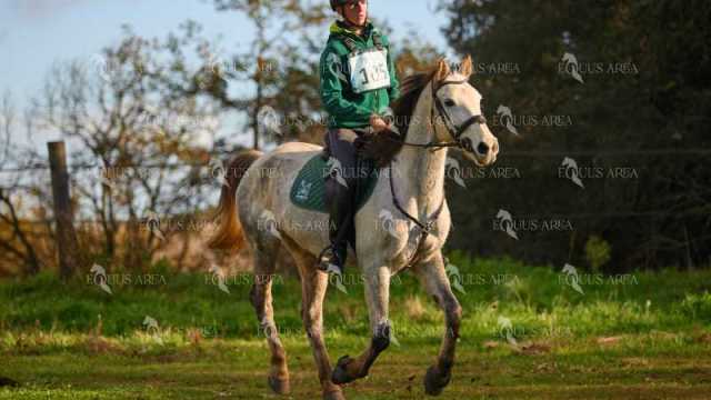 TREC01-06082024-126