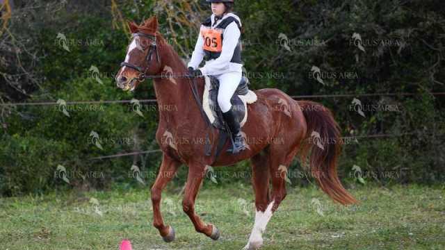 TREC01-06082024-13