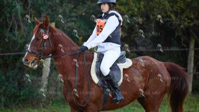 TREC01-06082024-14