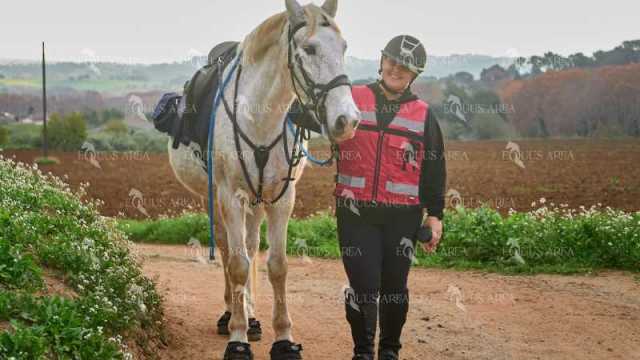 TREC01-06082024-18