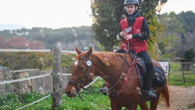 TREC01-06082024-21