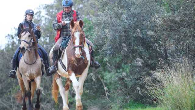 TREC01-06082024-22