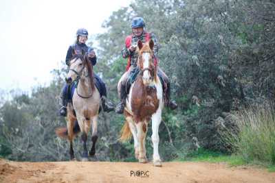 TREC01-06082024-23