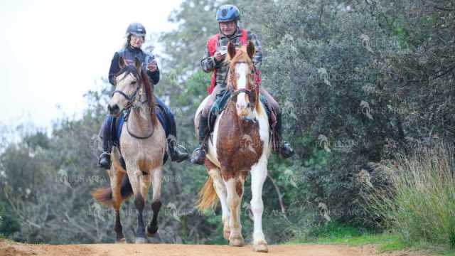 TREC01-06082024-23