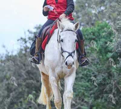 TREC01-06082024-26