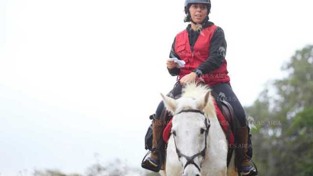 TREC01-06082024-27