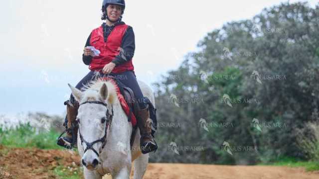 TREC01-06082024-28