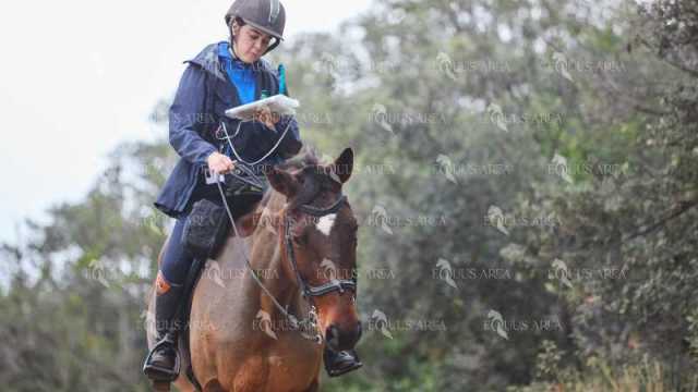 TREC01-06082024-29