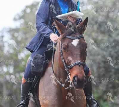 TREC01-06082024-30