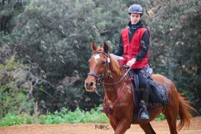 TREC01-06082024-32