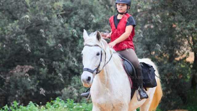 TREC01-06082024-33