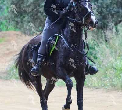 TREC01-06082024-35