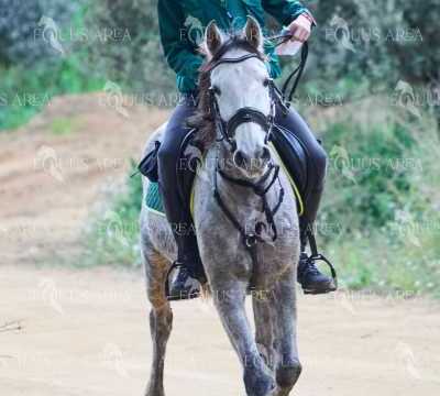 TREC01-06082024-40