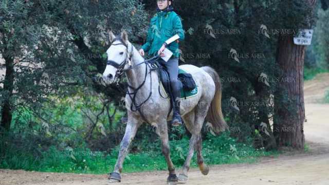 TREC01-06082024-41