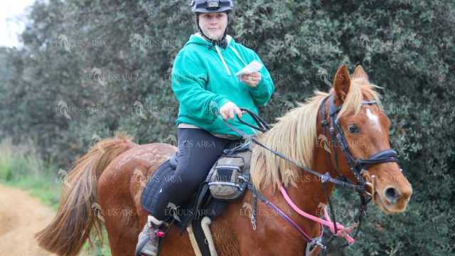 TREC01-06082024-45