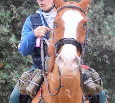TREC01-06082024-49