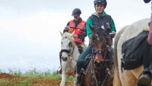 TREC01-06082024-57