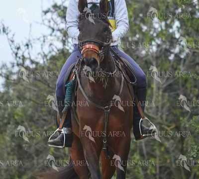 TREC01-06082024-63